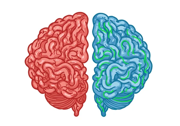 Brain with chaotic pathways being calmed and rewired by positive experiences
