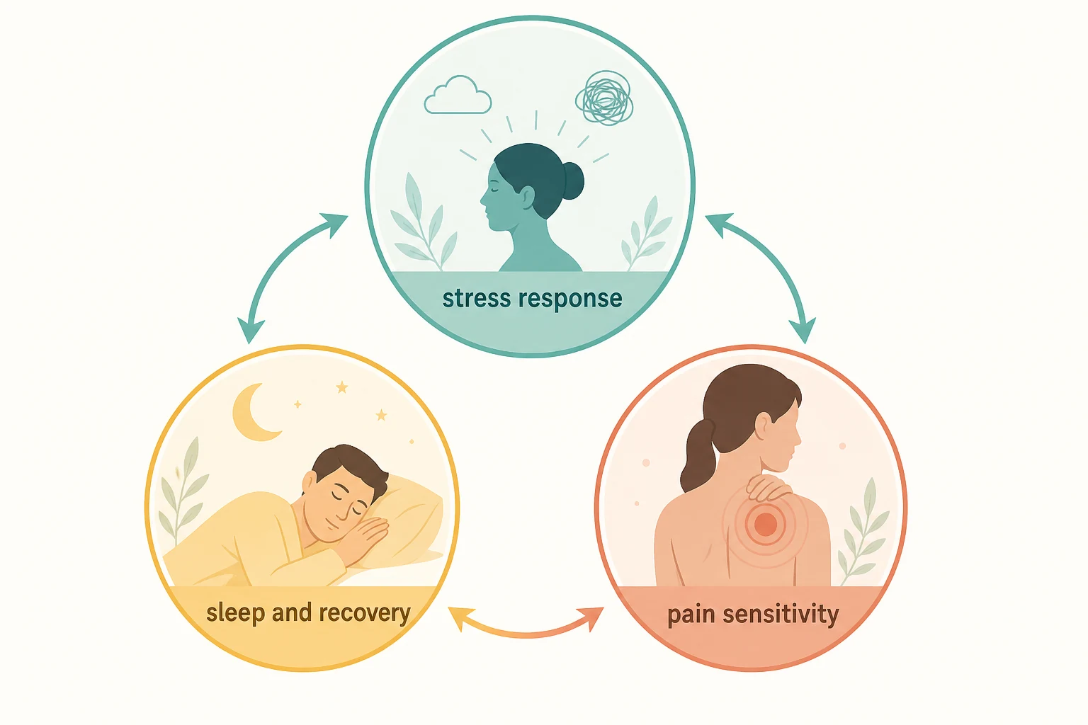 Stress and pain pathways